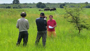 Interview Willem